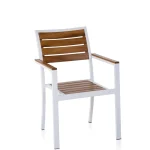 Next Iroco Kollu Sandalye - Görsel 5